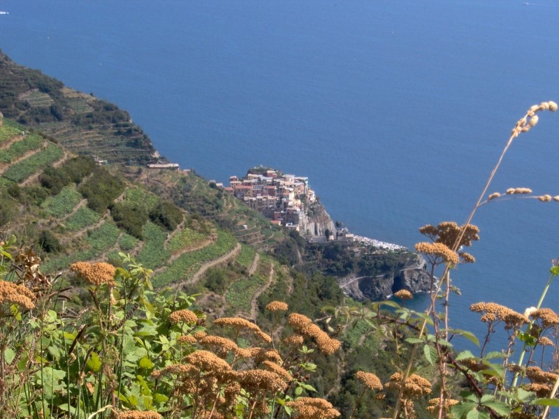 MANAROLA
